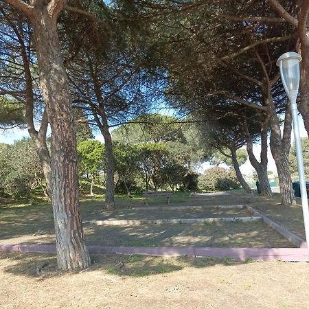 Lara 2 - T2 Balcon Piscine Lit Double & Clic-Clac Parking Pres Du Centre-Port Et Ile Loisirs Agde Exterior foto
